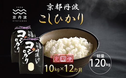 【12カ月定期便】 京丹波こしひかり 10kg×12カ月連続 合計120kg 令和7年産 新米 京都 米 精米 コシヒカリ ※北海道・東北・沖縄・その他離島は配送不可 [216MB001R]