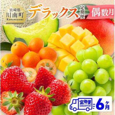 ふるさと納税 川南町 【発送月固定定期便】デラックス定期便(偶数月)(川南町)全6回