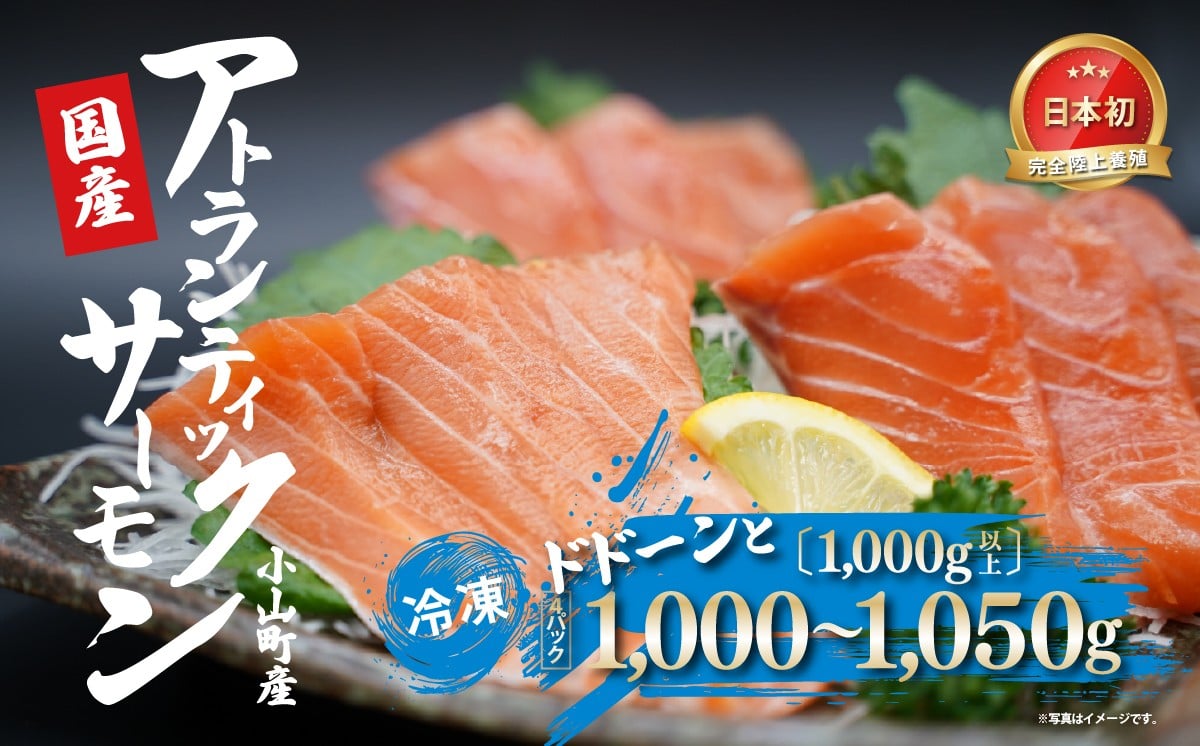 
                  日本初 完全陸上養殖 小山町産 アトランティックサーモン 冷凍 4パック 1,000～1,050g（ 1,000g以上 ） | サーモン アトランティックサーモン 刺身 海鮮丼 さーもん 小分け 真空パック 人気 おすすめ ランキング リピート 国産 静岡県 小山町
                