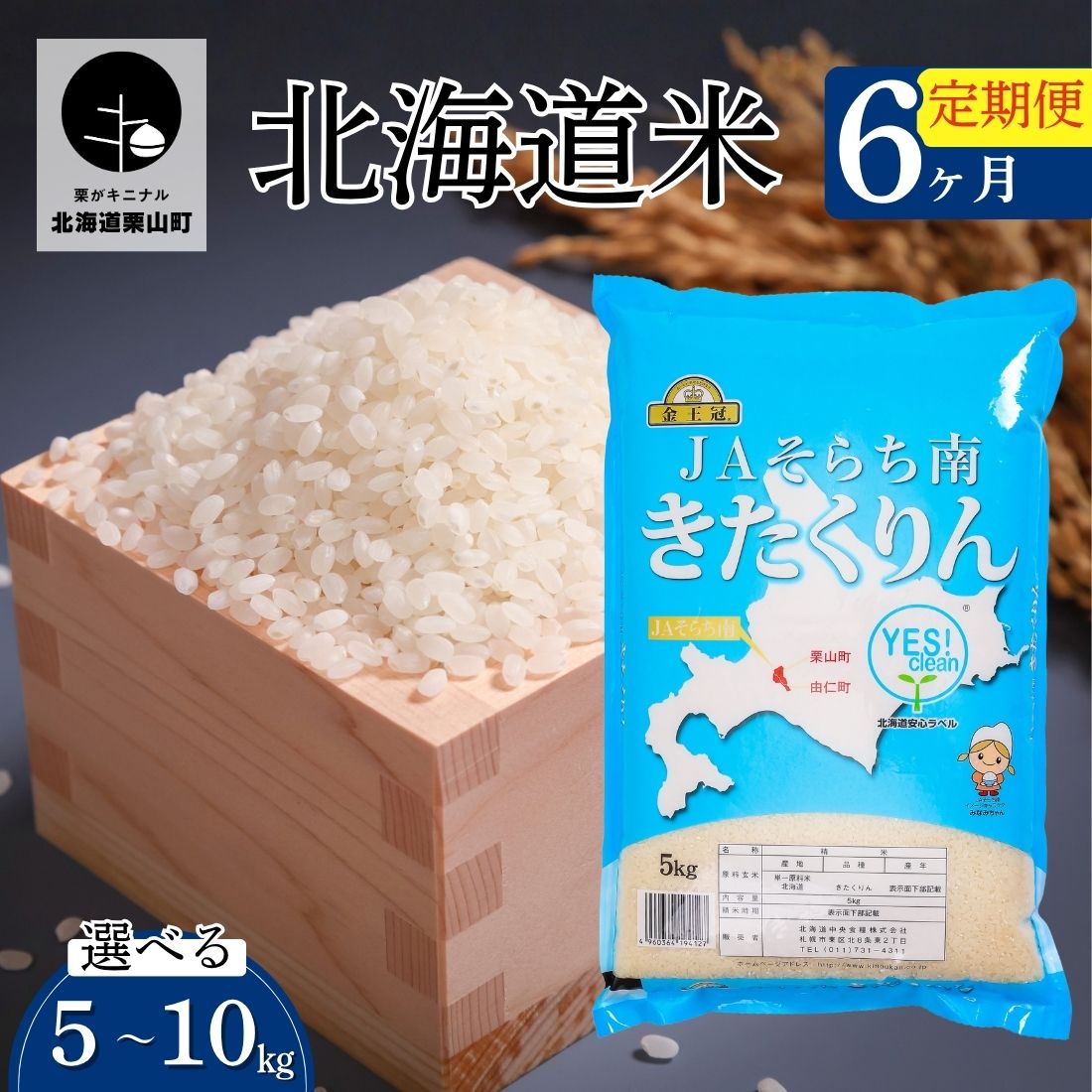 【ふるさと納税】【6ヶ月定期便】金王冠 きたくりん（精米）JAそらち南 白米《5kg×6回・10kg×6回》