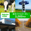 【ふるさと納税】北海道 中標津町 楽天トラベルクーポン クーポン 3,000円 3,000円 トラベル 宿泊 温泉 宿泊券 観光地応援 旅館 観光 ホテル クーポン 全国旅行支援 中標津 宿泊予約 旅行 ふるさと納税 旅行券 rakutenトラベル