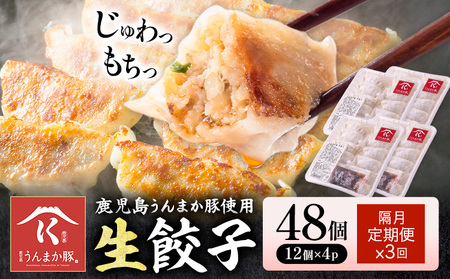 【隔月定期便×3回】鹿児島 うんまか豚 生餃子 48個 株式会社 寺師《お申し込み翌月から出荷》鹿児島県 さつま町 餃子 ギョウザ 焼き餃子 水餃子