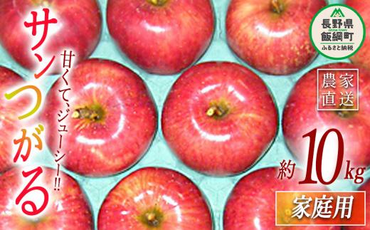 りんご サンつがる 家庭用 10kg ヤマウラ農園 2025年9月上旬頃から2025年9月中旬頃まで順次発送予定 令和7年度収穫分 信州 果物 フルーツ リンゴ 林檎 長野 22000円 予約 農家直送 長野県 飯綱町 [1574]
