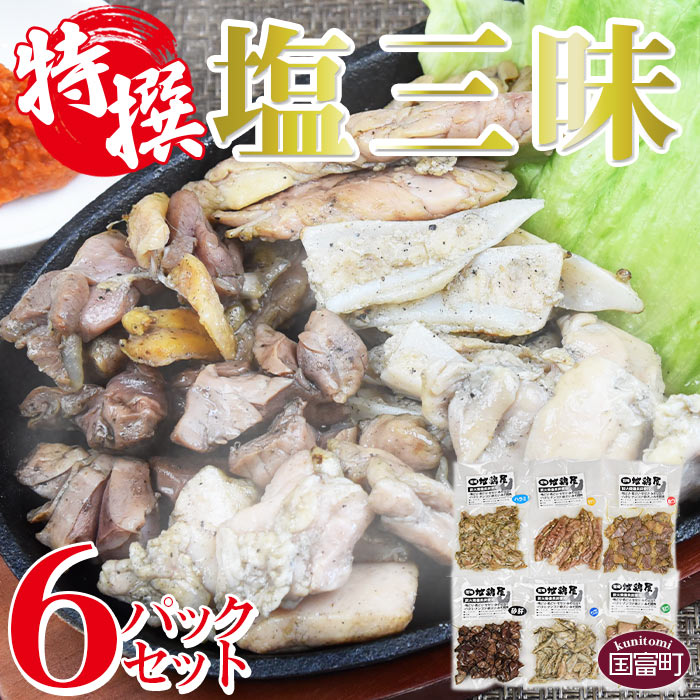 【ふるさと納税】＜特撰 炭火焼塩三昧 6パックセット＞※入金確認後、翌月末までに出荷します 鶏肉 食べ比べ 宮崎地鶏 若どり なんこつ ハラミ砂肝 セセリ 宮崎地鶏屋 炭火焼き 宮崎県 国富町【冷蔵】