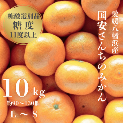 
            国安さんちの愛媛みかん10kg＜D20-3＞_ みかん ミカン 柑橘 くだもの 果物 フルーツ 甘い 常温 デザート 産地直送 産直 愛媛 【1094602】
          