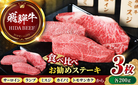 飛騨牛ステーキ600g 飛騨牛 ステーキ[ANBO025]