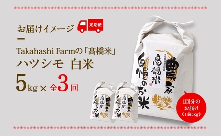 全3回お届け定期便 岐阜県 揖斐川町産 ハツシモ「高橋米」白米 5kg×1袋 お米 精米 ご飯 はつしも ブランド米 大粒 炊飯 冷めても美味しい お弁当 ライス 主食 ふっくら お取り寄せ 送料無料