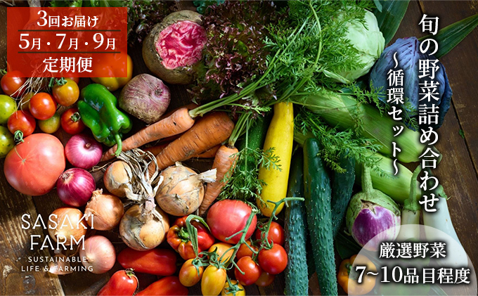 [3回お届け 5月・7月・9月 定期便]〈自然栽培〉佐々木ファーム 旬の野菜詰め合わせ ～循環セット～ 厳選野菜7-10品目程度 先行予約 やさい 直送 北海道 洞爺湖町 野菜の詰め合わせ 北海道産 
