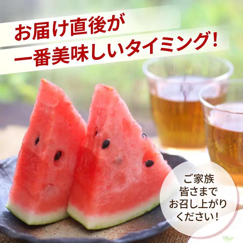 【先行予約】大玉スイカ「夏の天使」 1玉入 （L～2L）抜群の糖度で甘い！／ 期間限定 果物 フルーツ 西瓜 産地直送 ※2026年7月中旬より順次発送 [aw003-a002]
