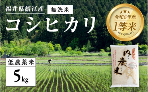 【令和6年産の新米！】福井県産 内農米 コシヒカリ 無洗米 5kg [B-00521] / こしひかり 有機栽培 白米 新米 白米 精米 ご飯 コメ ごはん ライス 産地直送 鯖江市