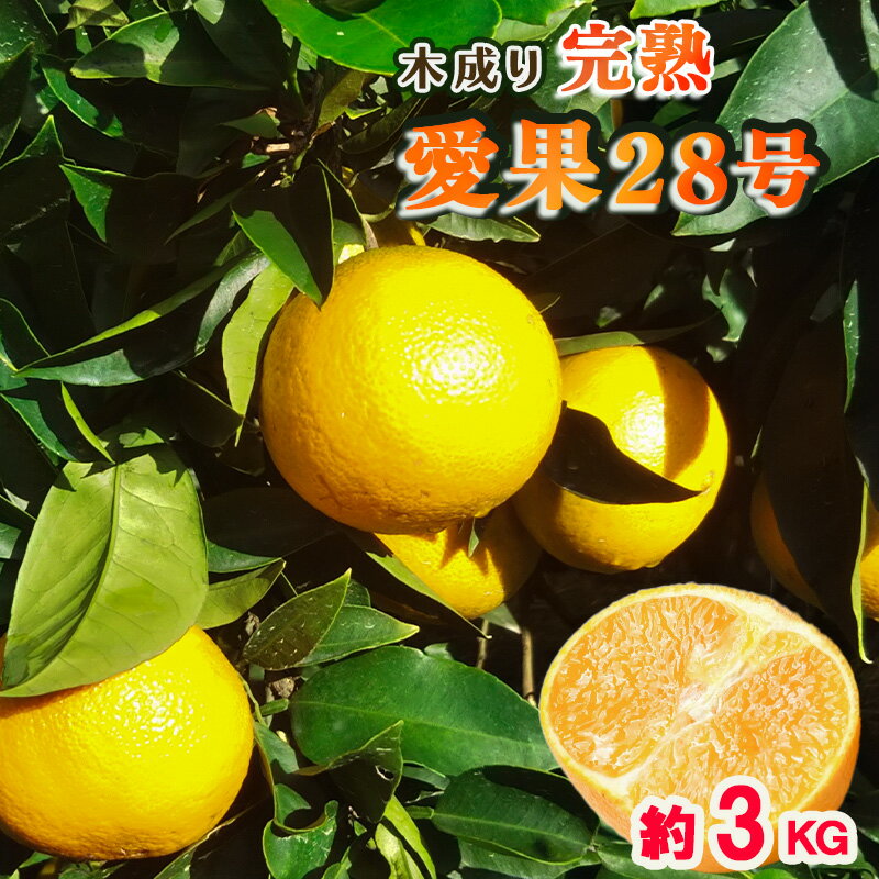 【ふるさと納税】 【秀品】甘さ抜群！ 愛果28号（紅まどんな と同品種） 3kg L から 4Lサイズ （高級みかん 産地直送 ｜紅マドンナ と同品種 まどんな マドンナ 柑橘 果物 フルーツ あいか 愛果28号 みかん 松山市 愛媛県 松本農園