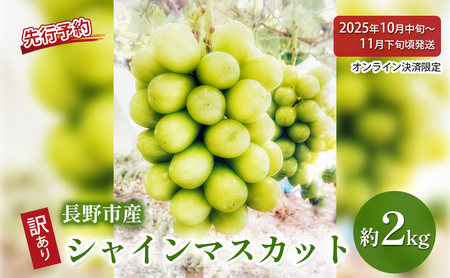 ぶどう 先行予約 長野県産 シャインマスカット 約2kg 訳あり 葡萄 ブドウ 果物 フルーツ シャイン マスカット デザート おやつ 信州 2025年秋発送