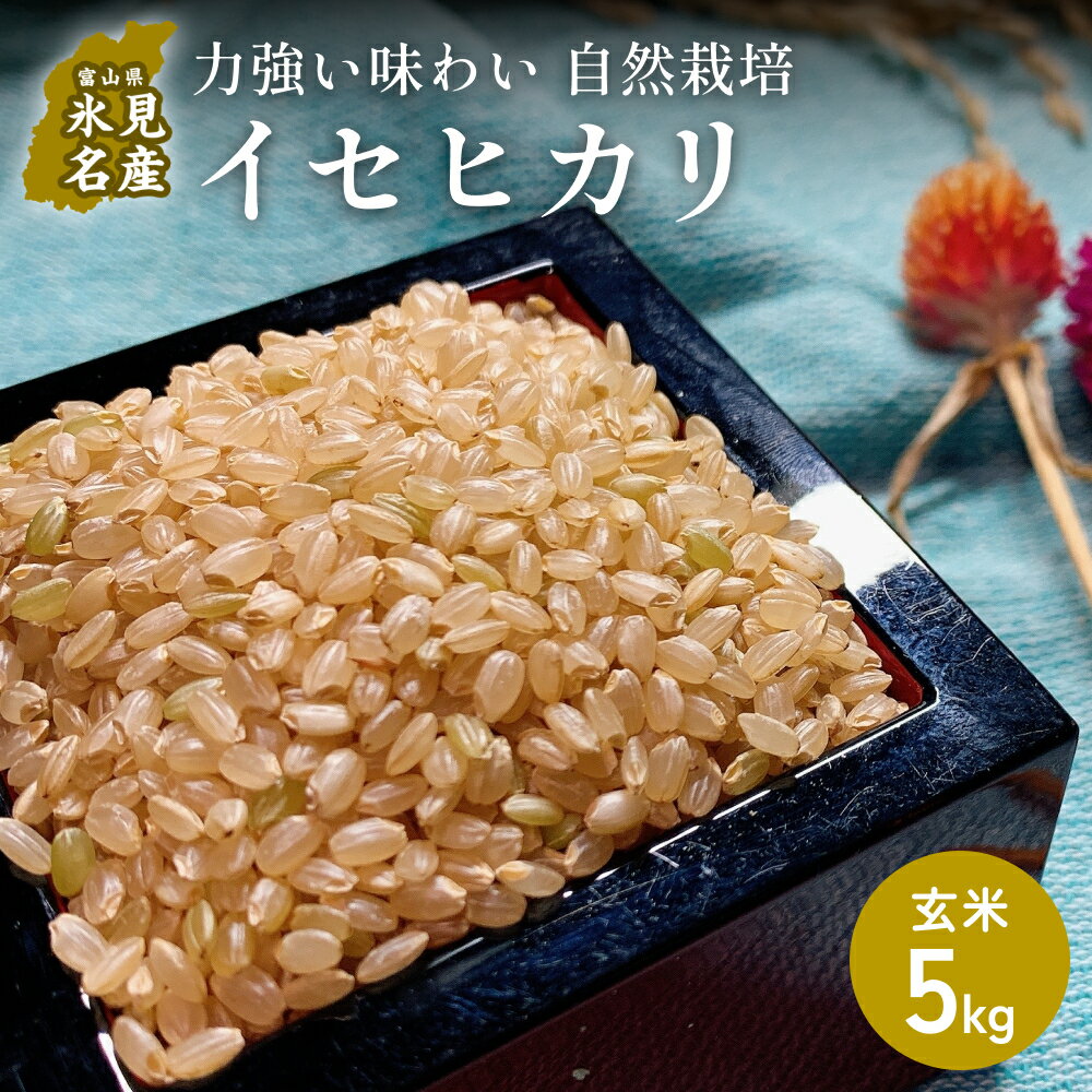 【ふるさと納税】【交響するお米】［玄米］自然栽培 イセヒカリ 5kg（富山県 氷見市 / 令和7年産） | 移住農家が里山から直送 米 ブランド米