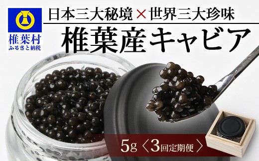 
            〈３回定期便〉【桐箱入り】 国産 キャビア 5g × 3回配送 計15g【世界三大珍味×日本三大秘境】［宮崎 椎葉 国産 ちょうざめ チョウザメ きゃびあ キャビア 魚卵 卵 定期便 定期 15g 3回配送 お酒 魚介 珍味 加工品 冷凍 高級 贅沢 グルメ ディナー パーティー おつまみ ギフト 記念日 誕生日 プレゼント お祝い 贈り物 贈答 贈答品 桐箱 希少］SZ-118_3teiki
          