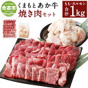 【ふるさと納税】くまもとあか牛 焼肉セット 合計1000g 合計1kg もも焼肉 (700g) ホルモン (300g) 和牛 牛肉 あか牛 赤牛 お肉 精肉 焼肉 BBQ モモ肉 もつ モツ グルメ お取り寄せ 冷凍 熊本県産 国産 合志市 送料無料