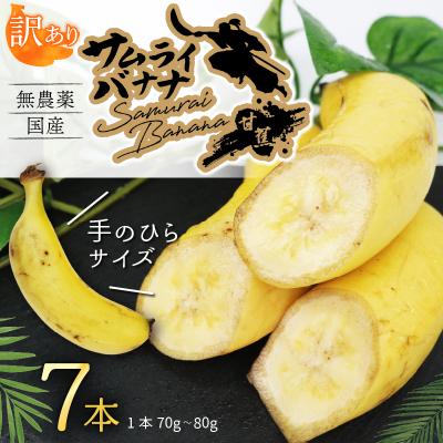 ふるさと納税 室戸市 【訳あり】 高知県産 侍バナナ 7本 室戸海洋深層水使用