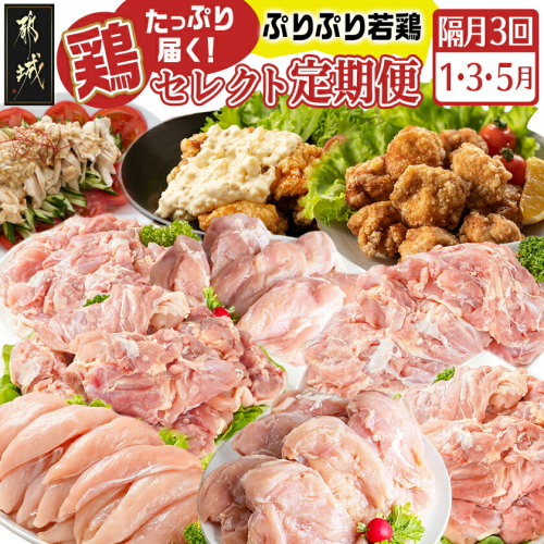 【セレクト定期便】～たっぷり～鶏定期便(3ヶ月)1月・3月・5月お届け≪2026年お届け≫_T41-MY02