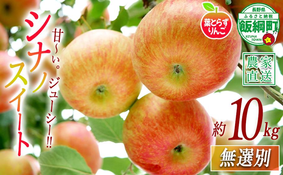 
                  りんご シナノスイート 葉とらず 無選別 10kg エバラ農園 減農薬栽培 2026年10月中旬頃から2026年11月下旬頃まで順次発送予定 令和8年度収穫分 信州 果物 フルーツ リンゴ 林檎 長野 予約 農家直送 長野県 飯綱町 [1632]
                