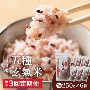 【隔月3回　定期便】国内産 五種玄氣米 250g×6個 1500g×3回_国内産 五種玄氣米 250g×6個 お届け回数 3回 玄米 ブレンド 雑穀米 もち赤米 うるち玄米 もち玄米 もち黒米 もち緑米 プチプチ もちもち 混ぜて炊くだけ 冷めても美味しい 主食 おにぎり 弁当 食卓 華やか 福岡県 久留米市 送料無料 〔Tk025〕