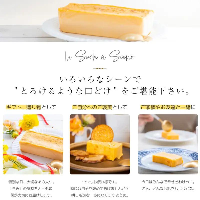 3年ごしのきみのチーズケーキ 【ギフトBOX】TAMAGOYA 村の駅