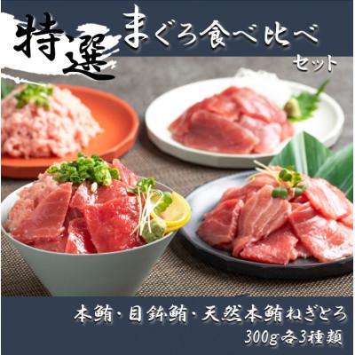 ふるさと納税 静岡市 【静岡】鮪食べ比べセット300g3種:本鮪切落し300g メバチ鮪切落し300g ねぎとろ300g