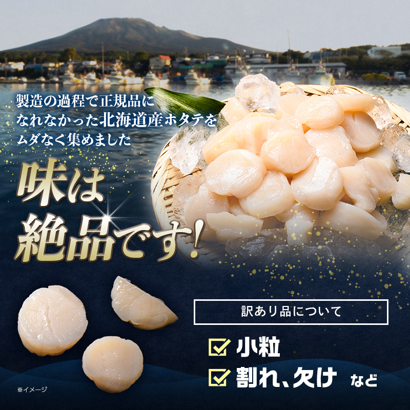 【訳あり】北海道産 ホタテ 1kg 貝柱 小分け フレーク 刺身用 冷凍＜海鮮問屋　株式会社　瑞宝＞ 小分け 森町 ほたて 帆立 ホタテ 海産物 魚貝類 おつまみ 海鮮丼 魚介類 貝柱 ふるさと納税 
