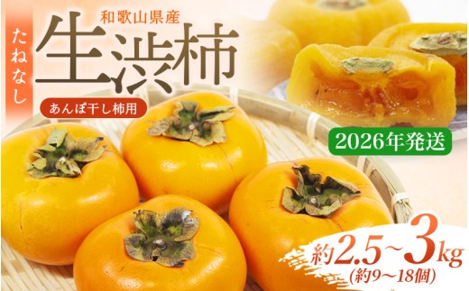 【県認定エコファーマー】柿 干し柿 甘さが違う！とっても甘くなる生渋柿（平たねなし柿）あんぽ柿用 T軸枝無 約2.5〜3kg 約9〜18個 １０月下旬〜順次発送(日付指定不可)-AP / フルーツ 果物 くだもの 柿 干し柿 渋柿 あんぽ柿 平たねなし柿 和歌山 和歌山県 【art041】