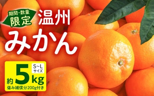 《2025年発送先行予約》【期間・数量限定】温州みかん5kg(傷み補償分200g付き)_M249-001-01