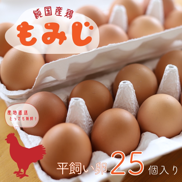 【純国産鶏もみじ】平飼い卵25個入り (AJ005-1)