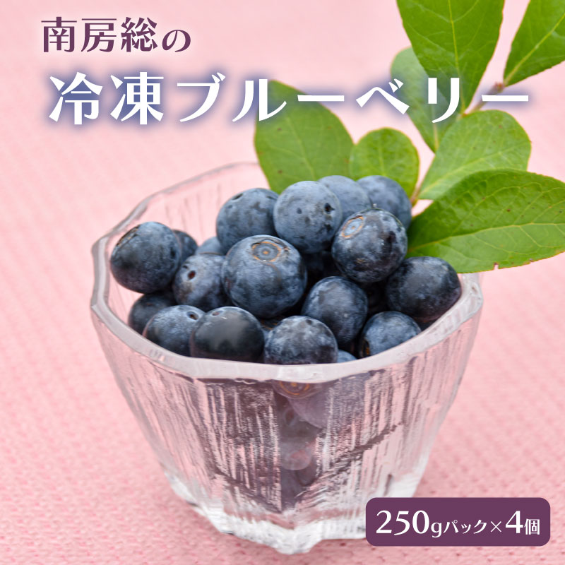 【ふるさと納税】 南房総の冷凍ブルーベリー 250g×4パック 【2025年8月中旬～12月20日発送予定】 千葉県 南房総市 果物 フルーツ パック 完熟 栽培期間中農薬不使用 お取り寄せ グルメ 送料無料