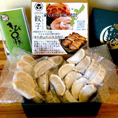 ふるさと納税 糸満市 沖縄県ブランド豚キビまる豚贅沢使用!1個38g大判サイズの手包み餃子