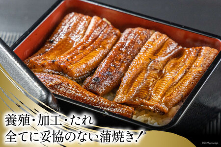 うなぎ 国産 静岡 うなぎ蒲焼 カット 80g ×6 計480g
