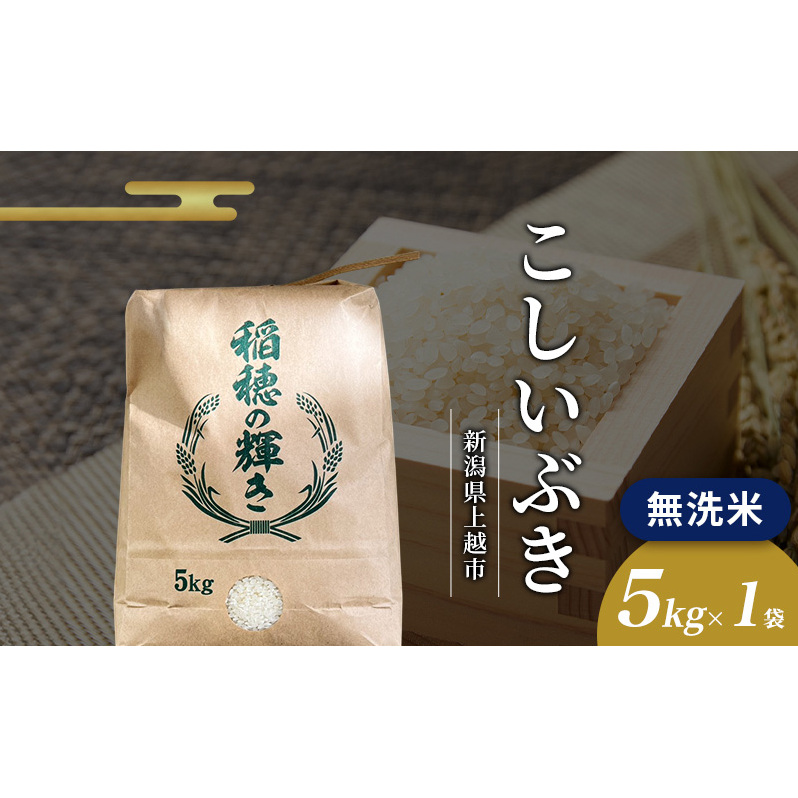 2026年2月から出荷開始 | 無洗米 令和7年 新潟県上越市産 こしいぶき 5kg 5キロ お米 コメ おこめ 新潟