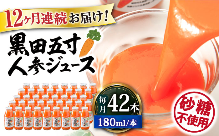 
【12回定期便】 黒田五寸人参ジュース180ml 42本セット 総計504本 大村市 おおむら夢ファームシュシュ [ACAA115]
