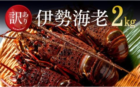 【訳あり】冷凍伊勢海老2kg（3～10尾）【期間限定 数量限定 魚介類 えび 伊勢えび イセエビ】[C01707]
