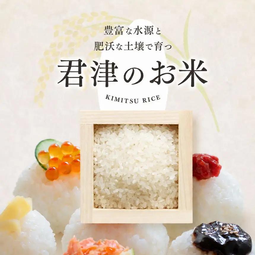 無洗米 令和8年産 特A コシヒカリ 10kg | あかかげ農園 君津市小山野産