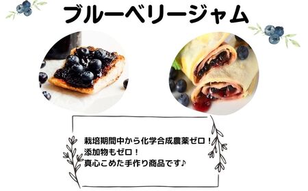 宇陀まるごとセット/ 道の駅宇陀路大宇陀 ブルベリー 吉野本葛 大和当帰うどん 奈良漬 お土産 奈良県 宇陀市