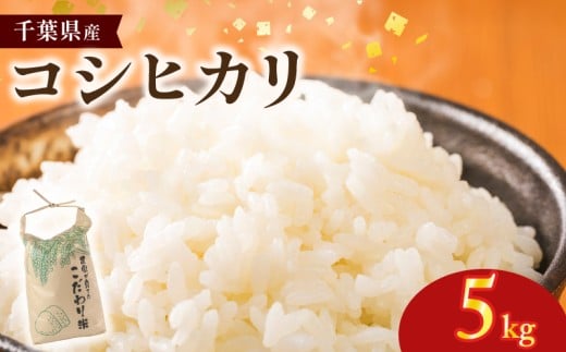 米 コシヒカリ 5kg 令和7年産 千葉県産 先行予約 国産 国産米 お米 精米 白米 新米 こめ コメ 予約 千葉県産米 ご飯 ごはん 飯 お取り寄せ グルメ ギフト 家庭用 家族 日用品 贈答 贈り物 食品 グルメ おにぎり ブランド 早場米 関東 農家 こだわり 非常食 常備食 防災 弁当 料理 朝ご飯 送料無料 ふるさと納税 千葉県 銚子市 サンズファーム 【9月中旬頃発送予定】