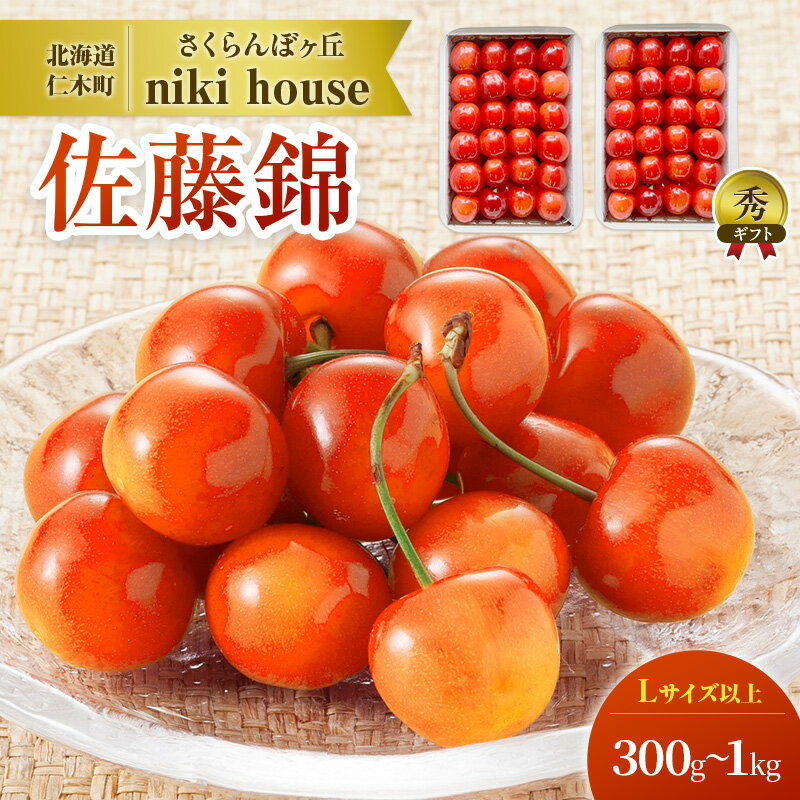 【ふるさと納税】さくらんぼ 農園厳選 佐藤錦 Lサイズ以上 1kg（500g×2パック） 品質：ギフト向け 秀 サクランボ チェリー フルーツ 果物 果物類 ギフト 贈答品 北海道 仁木町 仁木 [小林信幸]　お届け：2025年6月末～20日頃