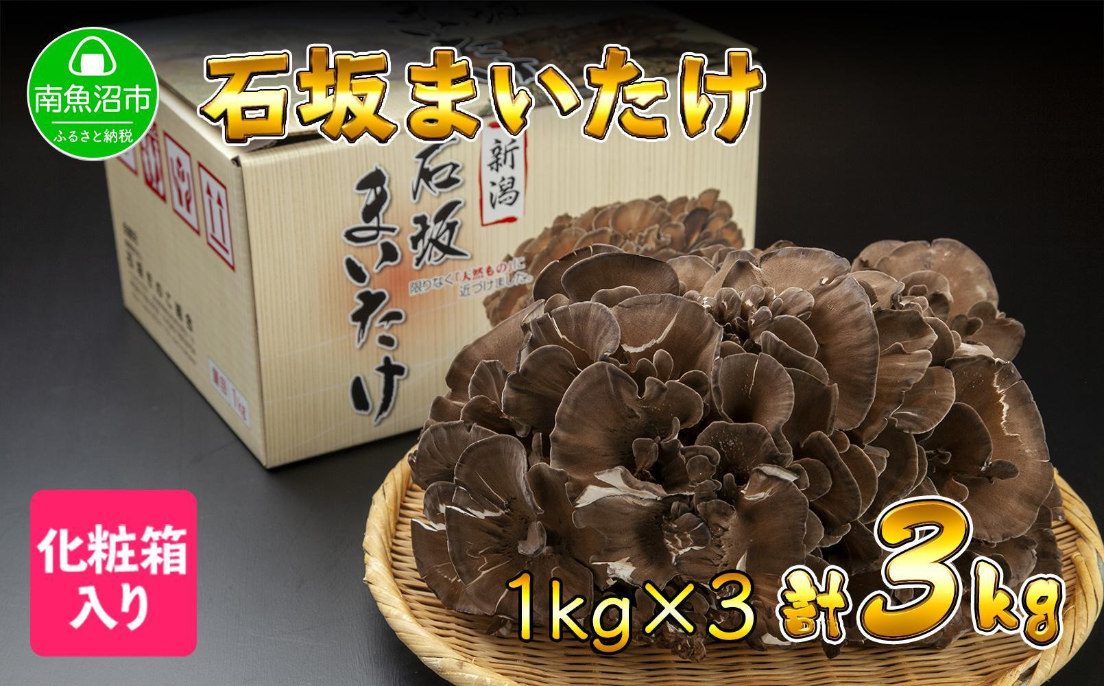 
新潟県 南魚沼産 厳選 国産 石坂 高級 舞茸 産地直送 1kg ×3箱 計3kg 石坂きのこ
