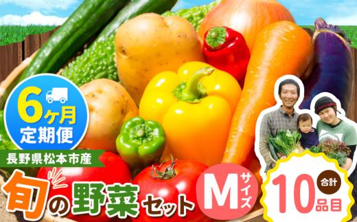 【定期便6回】子育て農家の野菜セット（Mサイズ）農薬・化学肥料不使用 | 定期便 無農薬 野菜 やさい 長野県 松本市 信州産 ふるさと納税
