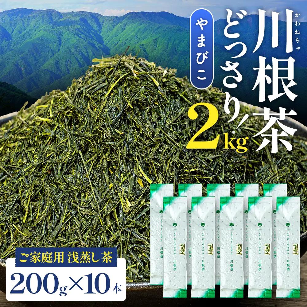 32-6 川根茶 どっさり ご家庭用飲み茶2kg セット やまびこ 200ｇ袋×10本