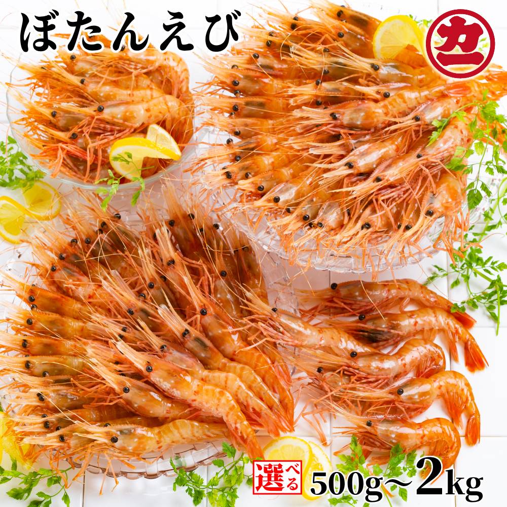 【ふるさと納税】ぼたんえび | 選べる 小分け えび エビ 海老 ボタンエビ ぼたん海老 刺身 お刺身 お寿司 冷凍 グルメ