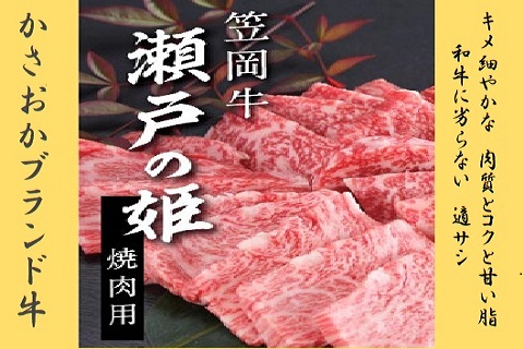 瀬戸の姫（焼肉用）---B-07---