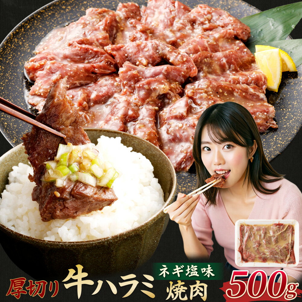 【ふるさと納税】厚切り 牛ハラミ焼肉（ネギ塩味） 500g 牛ハラミ 牛肉 肉 厚切 塩だれ ハラミ 焼き肉 焼肉 BBQ アウトドア 簡単調理 焼くだけ 熊本 九州 冷凍 西原村 送料無料