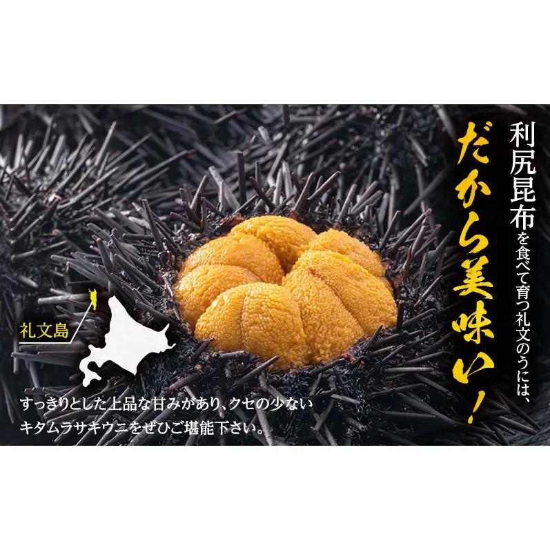 礼文産 キタムラサキウニ 塩水 500g(100g×5) うに