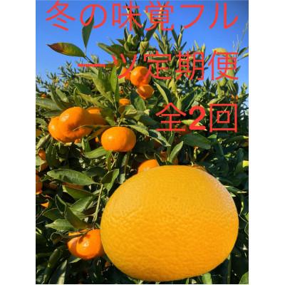 ふるさと納税 紀の川市 【発送月固定定期便】冬の定番　早生温州みかん5Kg　八朔5Kg　全2回