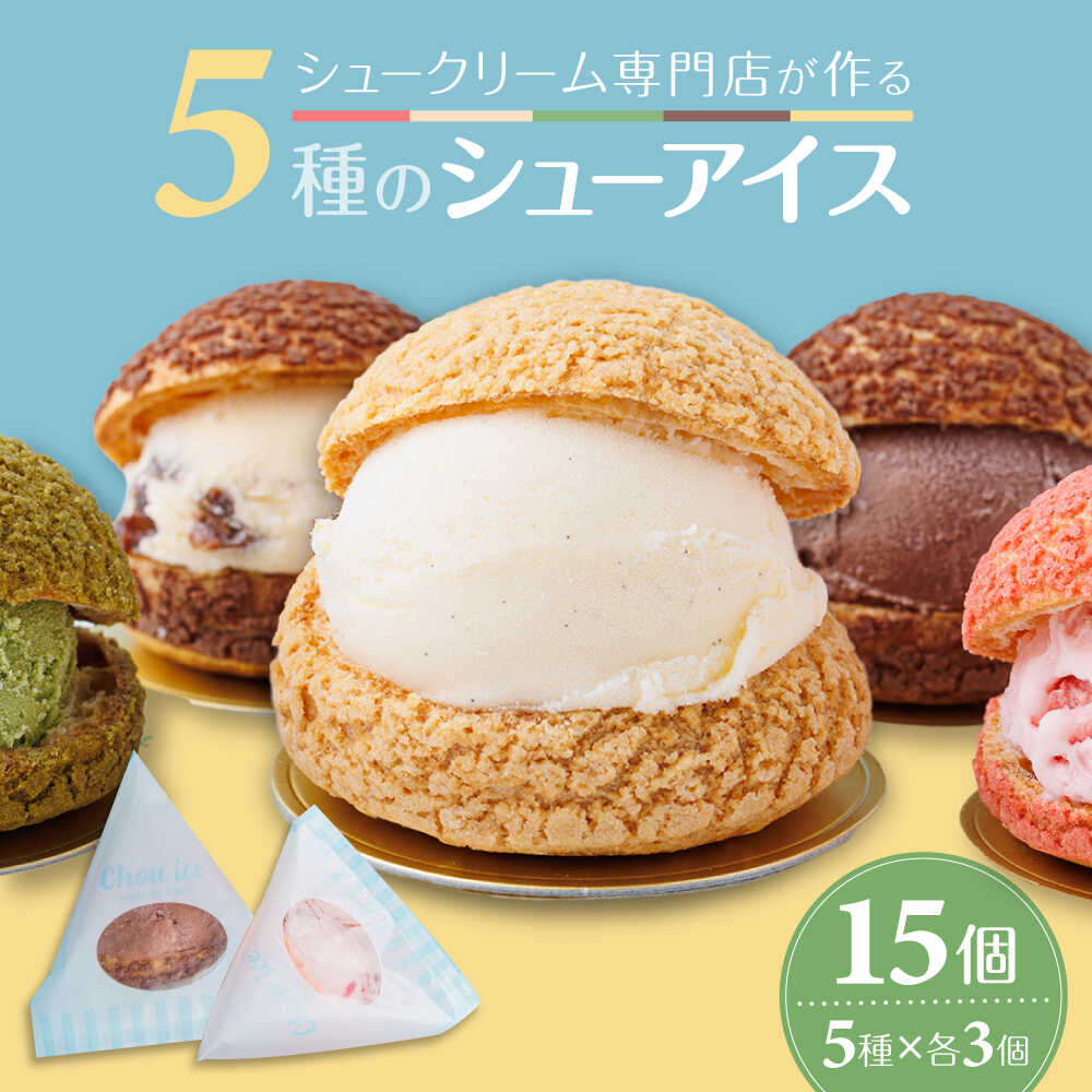 【ふるさと納税】シューアイス 15個セット / アイス シューアイス スイーツ デザート 冷菓 バニラ チョコレート ストロベリー 抹茶 ラムレーズン 大阪府 / 大阪府藤井寺市/株式会社Ciel CoCo[BLBH002]