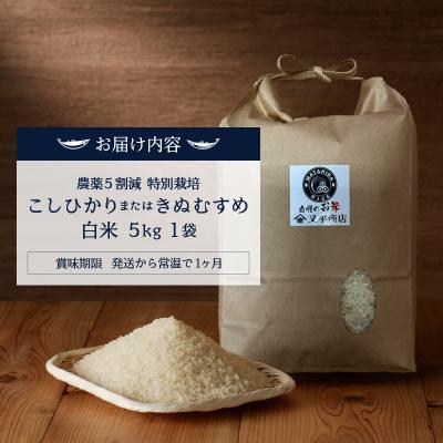 ふるさと納税 焼津市 新米　令和7年産 農薬5割減 特別栽培 コシヒカリ または きぬむすめ 白米5kg(a18-098) |  | 03