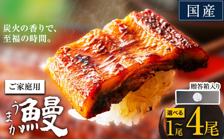 うなぎ ご家庭用 国産 ランキング 獲得 鰻 真空パック おすすめ うなぎの蒲焼 【贈答箱入り】《3-7日以内に出荷予定(土日祝除く)》 有頭 ふるさとのうぜい 鶏炭火焼 1尾 2尾 3尾 4尾 訳あり 定期便 簡易包装 不揃い 規格外 ウナギ unagi 蒲焼 秋 冬 旬 配送時期 冷凍---mifune_lcl_1451_1b---
